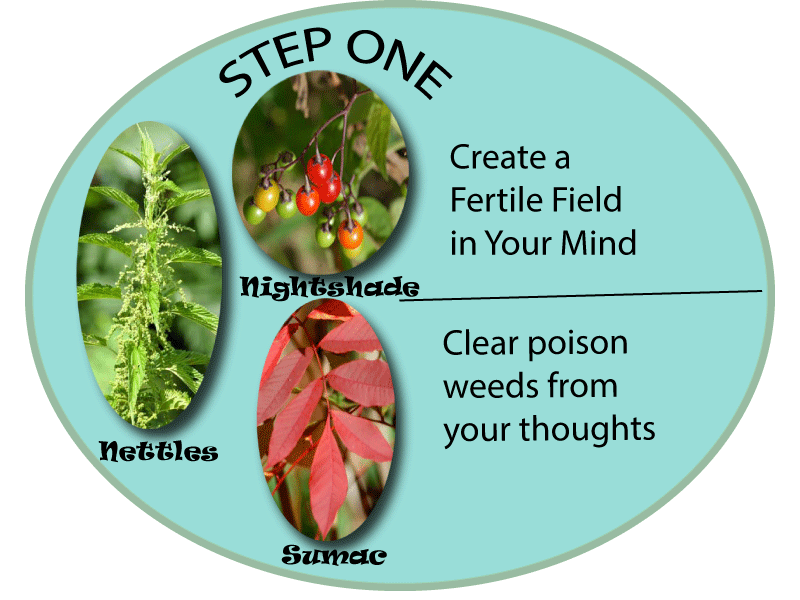 Graphic Illustrating Step One of Using Imagination