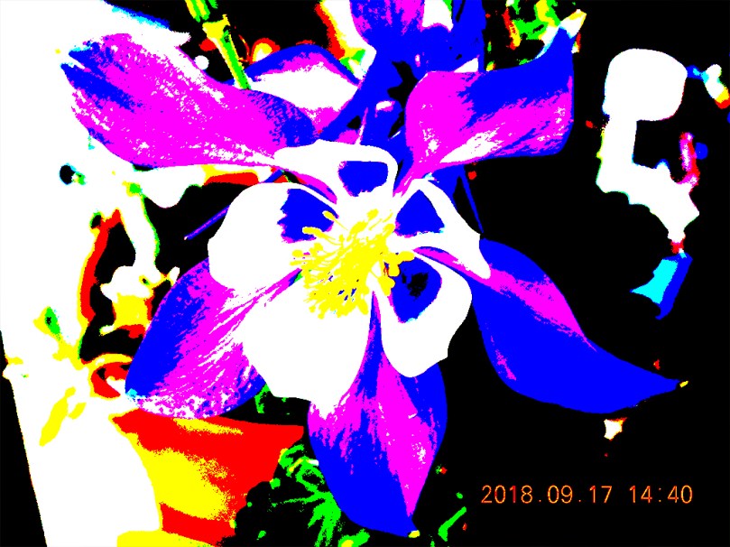 Graphi stylized iris