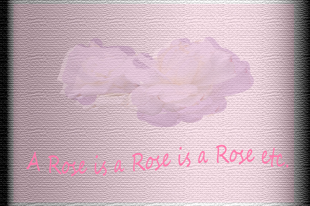 Graphic of a rose embossed on textured background